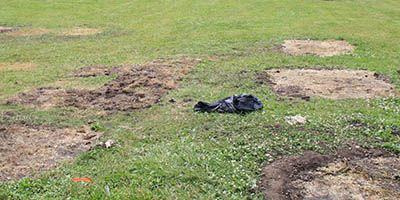 Materials from White Springs