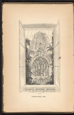 On the Growth of Plants in Closely Glazed Cases