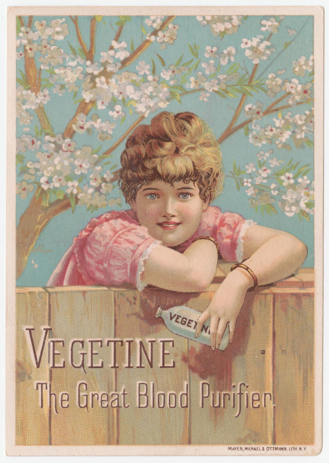 "Vegetine, the great blood purifier" trade card